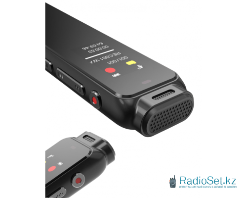 Диктофон Philips VTR5010 16 GB